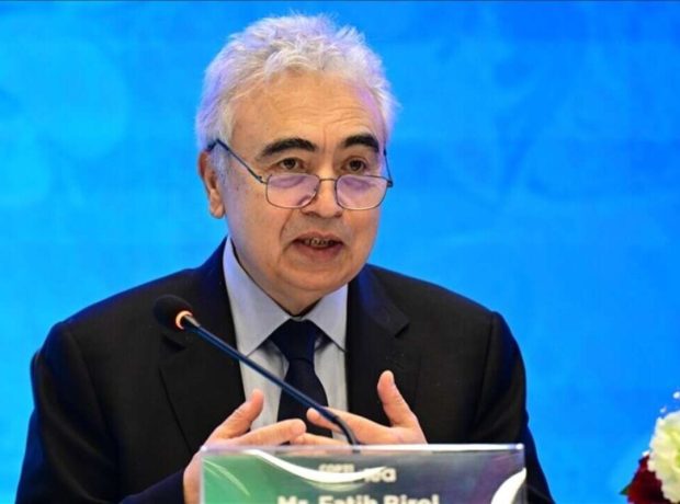 “Qiymətlərdə kəskin şəkildə artım gözlənilir” – İcraçı direktor